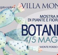 logo botanicafolias.jpg logo botanicafolias.jpg